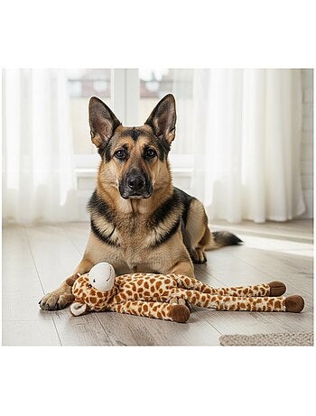 Peluche girafe grand yeux pour chien