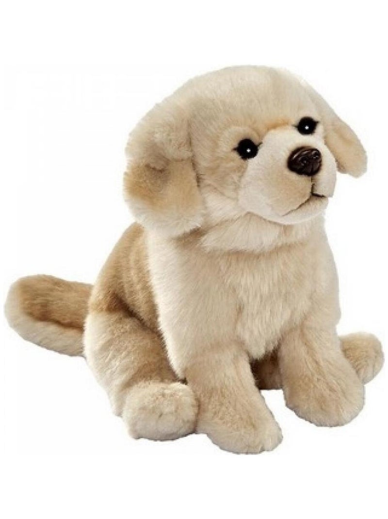 Peluche Golden assis 30cm Beige - Kiabi