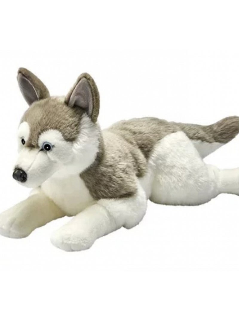 Peluche Husky Couche 60cm Marron - Kiabi