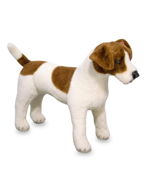 Peluche Jack Russell - Kiabi