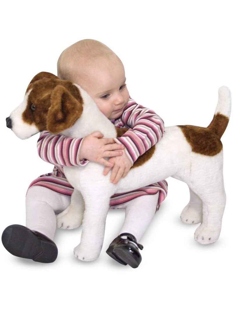 Peluche Jack Russell Marron - Kiabi