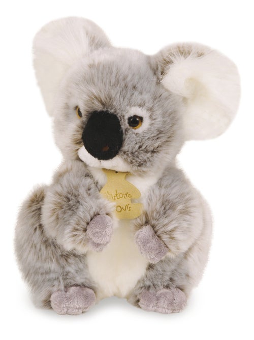 Peluche Koala 20 cm - Kiabi