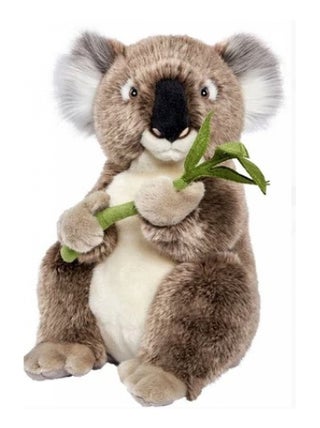 Peluche Koala 30 cm H 'Anima' Hansa