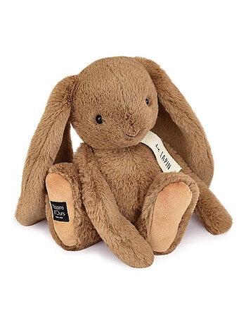 Histoire d'Ours - Peluche Lapin