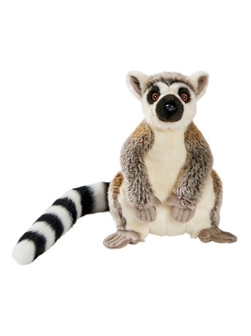 Peluche Lemurien de Madagascar 28cm - Kiabi