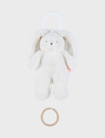 Peluche mini-musicale 20cm - Snow Noukie's