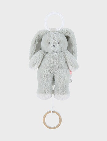 Peluche mini-musicale 20cm - Verdi Noukie's