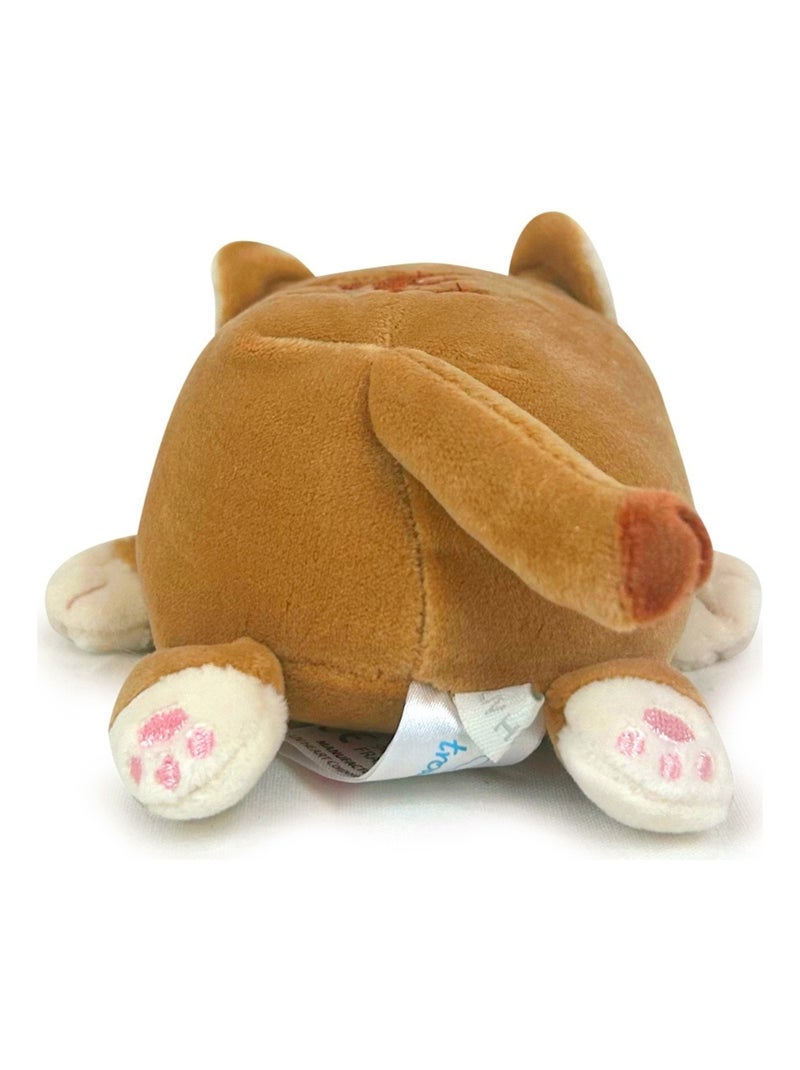 Peluche Mugi le bébé chat brun 11 cm Marron - Kiabi