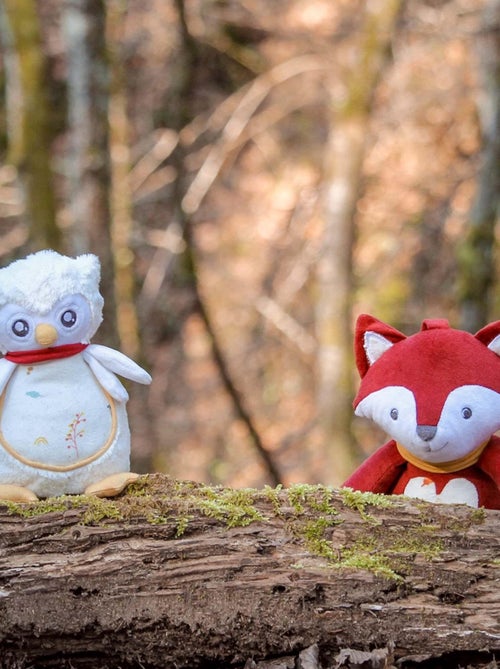 Peluche Musicale Chouette - Kiabi