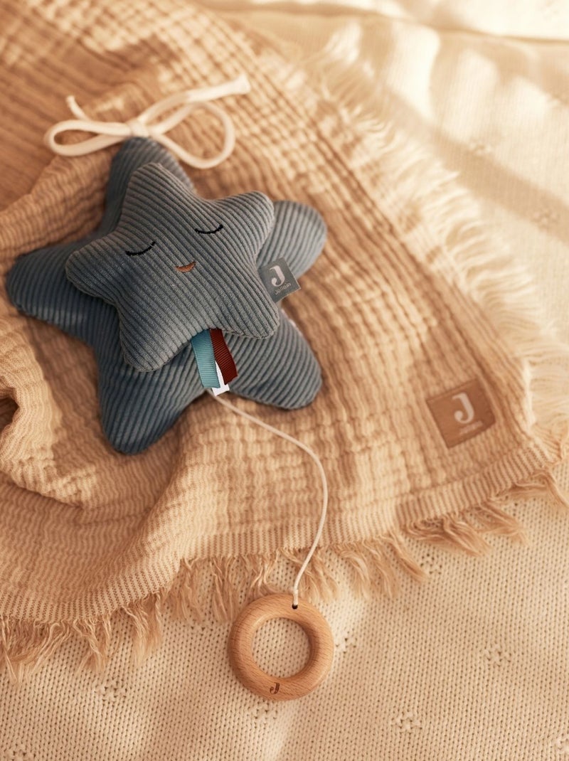 Peluche musicale étoile Jollein Vert - Kiabi