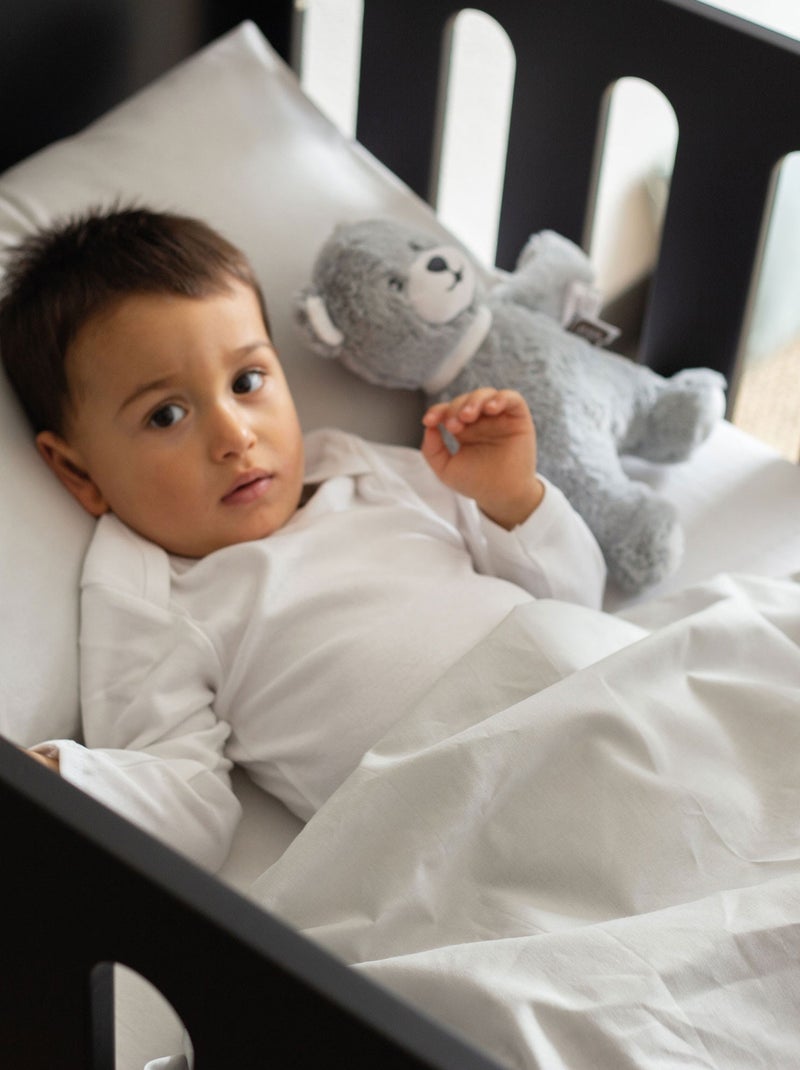 Peluche Musicale Ours Martin Et Ses Copains (26 Cm) N/A - Kiabi