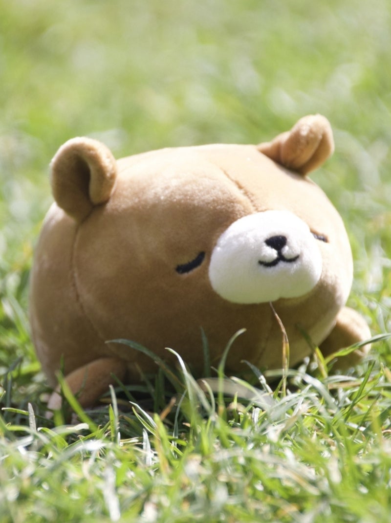 Peluche Nemu Nemu Cookie l'Ours brun (12 cm) Marron - Kiabi