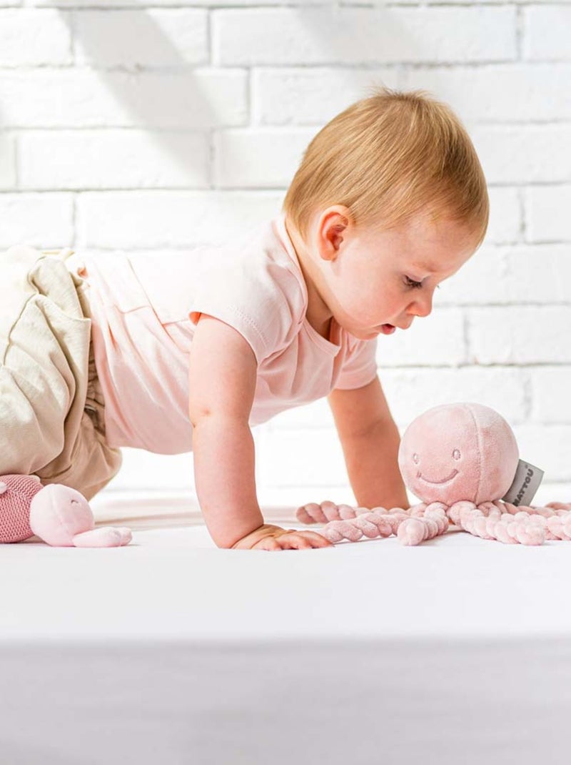 Peluche Octopus Poulpe Rose - Kiabi