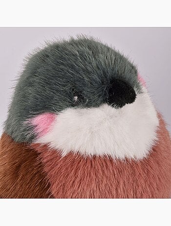 Peluche oiseau les cui-cui paradis 15 cm
