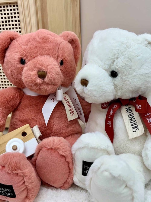 Peluche ours polyester collection LE NOUNOURS - Kiabi