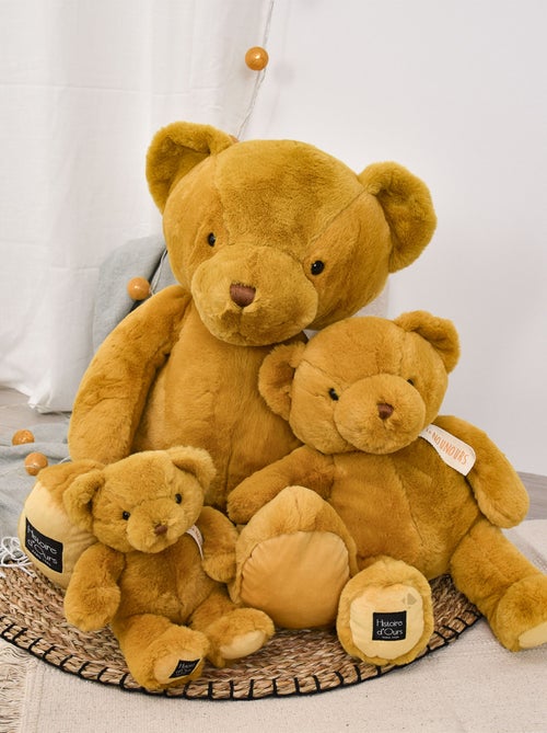 Peluche ours polyester collection LE NOUNOURS - Kiabi
