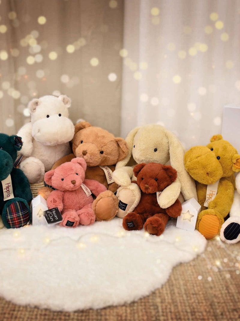 Peluche ours polyester collection LE NOUNOURS Marron chocolat - Kiabi