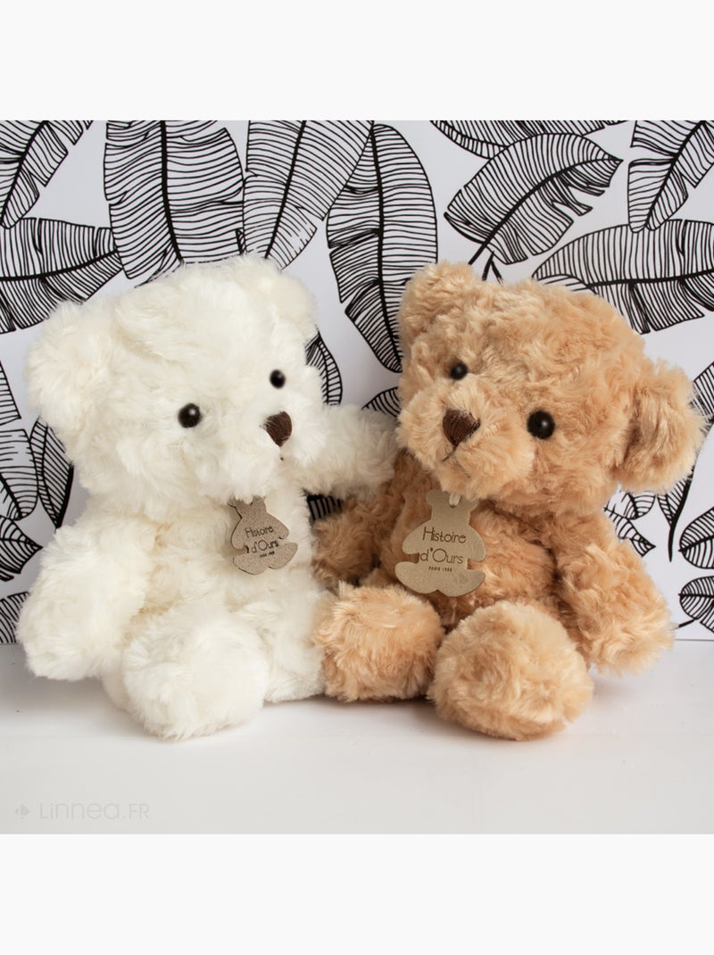 Peluche ours polyester collection OURS VINTAGE Blanc - Kiabi