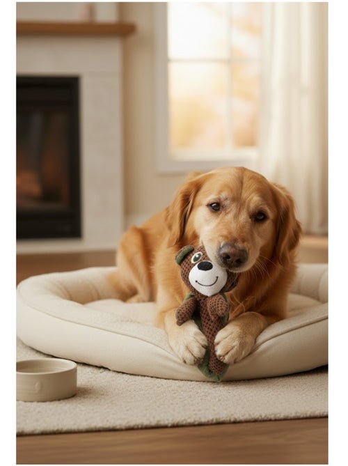 Peluche ours pour chien - Kiabi