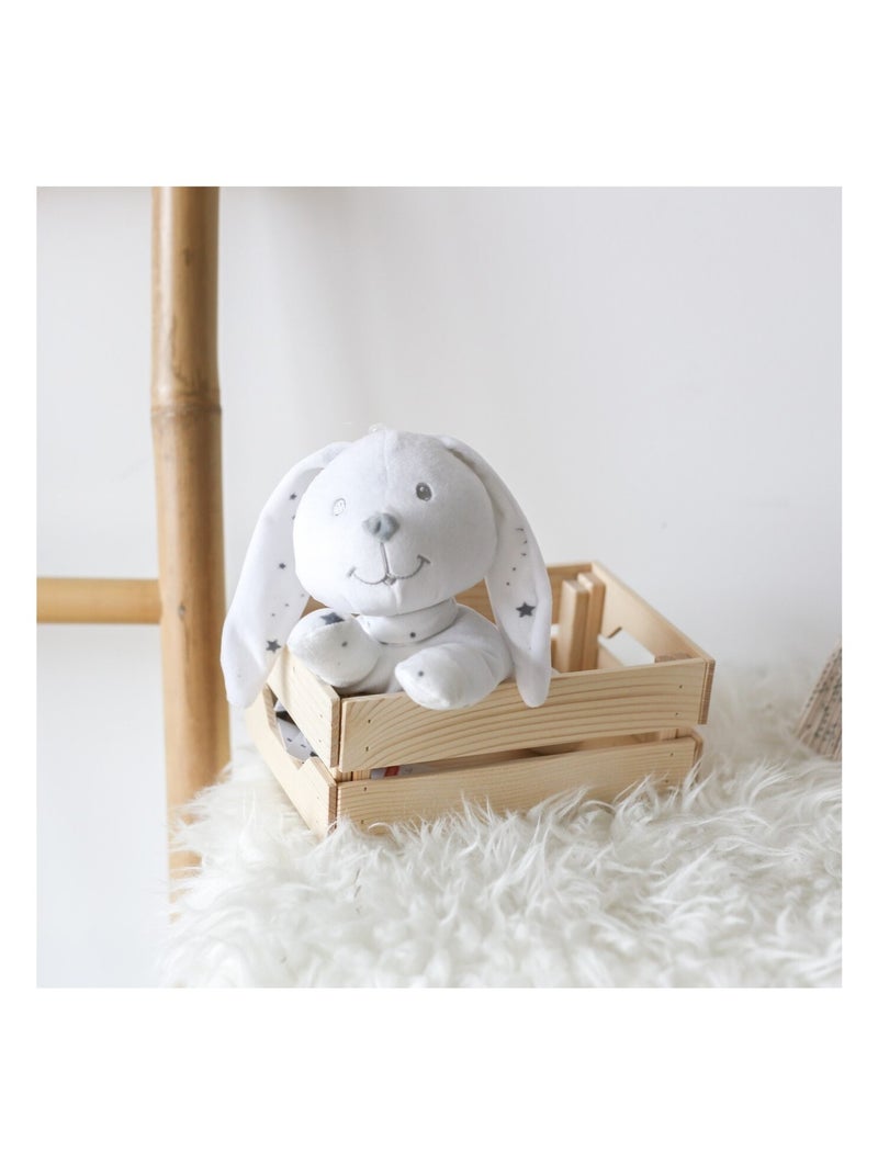 Peluche Petit Lapin N/A - Kiabi