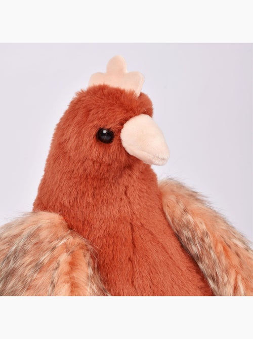 Peluche poule et ses œufs d'or 28 cm - Kiabi