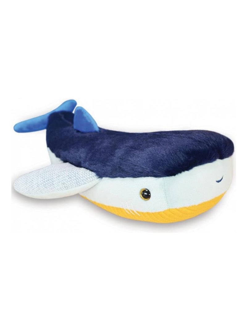 Peluche Requin Trésors Marins (40 Cm) Bleu - Kiabi