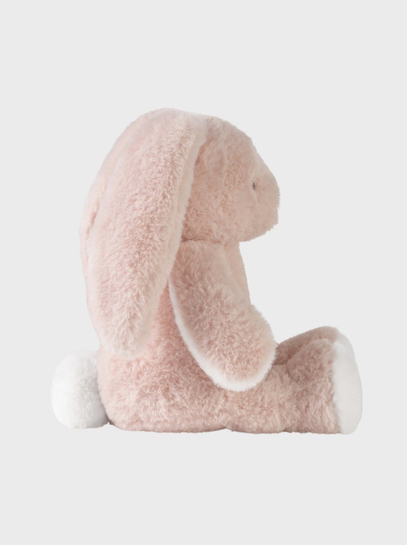 Peluche small 25cm - Rosie Noukie's Rose - Kiabi