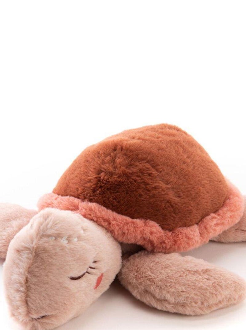 Peluche tortue Zelie Beige - Kiabi