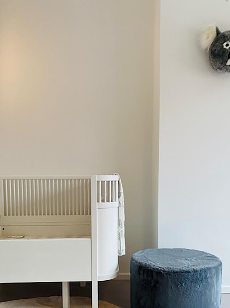 Peluche trophée mural Forêt Koala Noah Gris - Kiabi