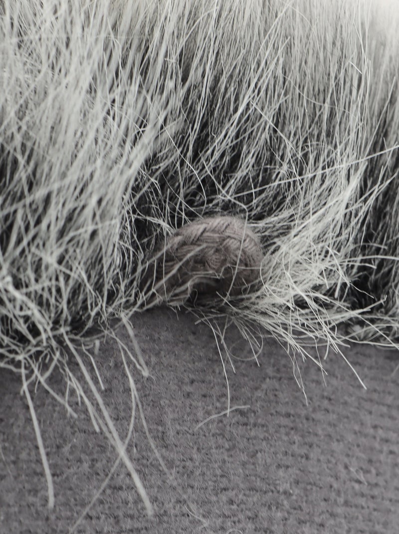 Peluche trophée mural Forêt Raton-laveur Josh Blanc Gris - Kiabi