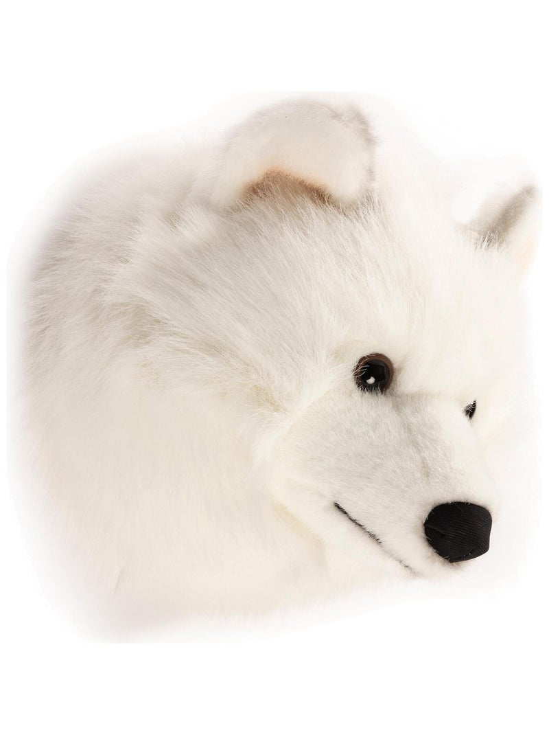 Peluche trophée mural Polaire Loup blanc Lucy Blanc - Kiabi