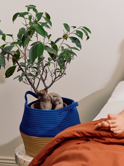 Petit panier de rangement - Kiabi