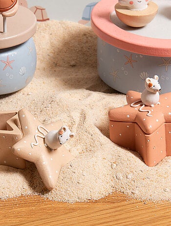 Petite boîte à dents en forme d'étoile