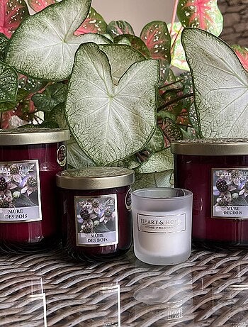 Petite bougie heart and home mûre des bois