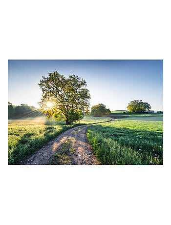Photo murale - Chemin Campagnard