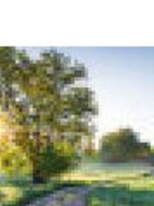 Photo murale - Chemin Campagnard - Kiabi