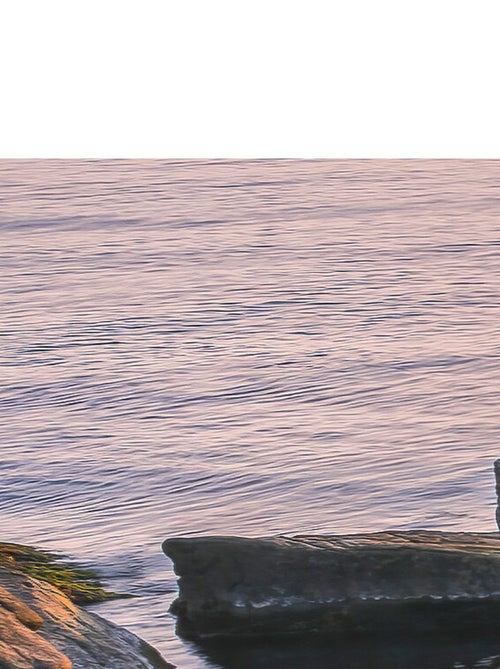 Photo murale - Couché De Soleil - Kiabi