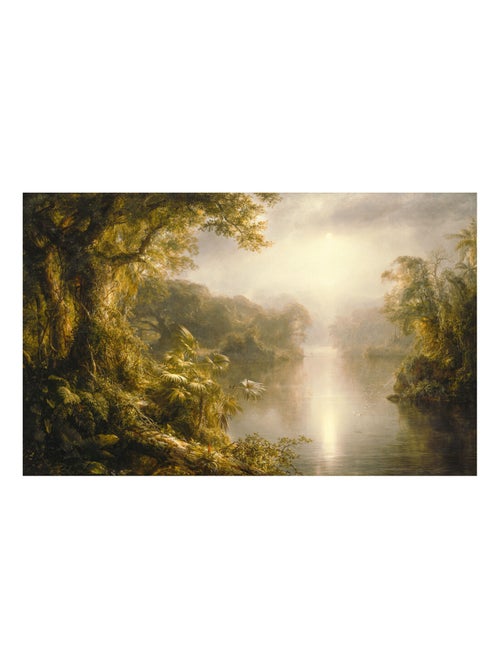 Photo murale - cours d'eau dans la Jungle - Kiabi