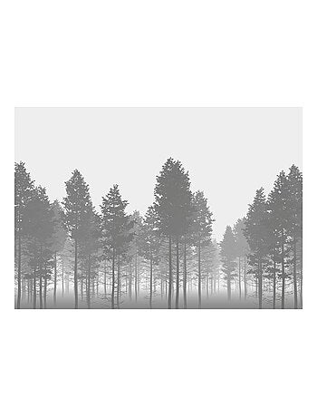 Photo murale - Forêt brumeuse