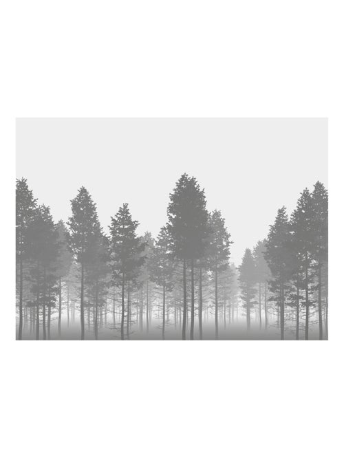 Photo murale - Forêt brumeuse - Kiabi