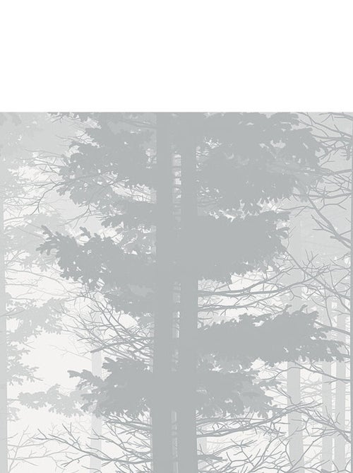 Photo murale - Forêt brumeuse - Kiabi