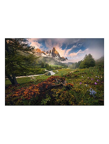 Photo murale - Paysage de la nature