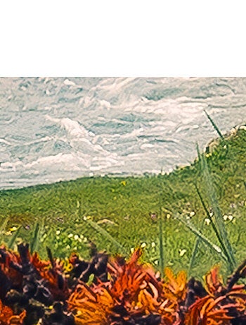 Photo murale - Paysage de la nature