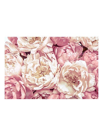 Photo murale - Pivoines Roses, Blancs