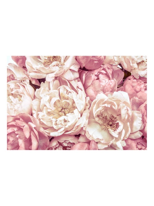 Photo murale - Pivoines Roses, Blancs - Kiabi