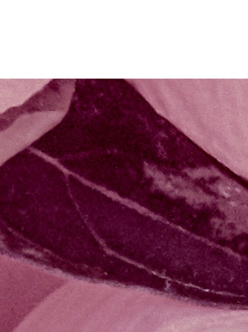 Photo murale - Pivoines Roses, Blancs - Kiabi