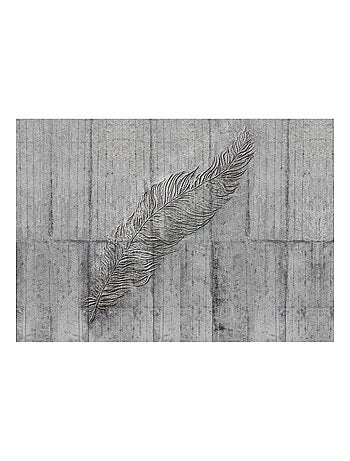 Photo murale - Plume de béton