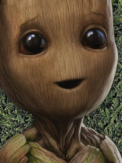 Photo murale autocollante - Groot La Petite Brindille - Kiabi