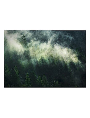 Photo Murale Intissé - Brume Au Dessus D'une Forêt