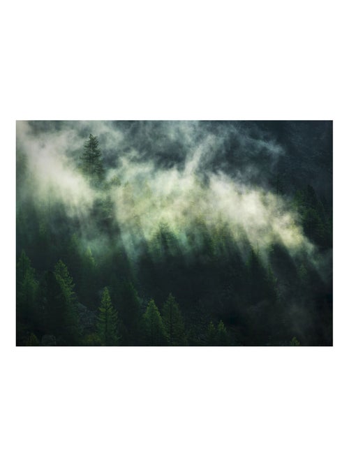 Photo Murale Intissé - Brume Au Dessus D'une Forêt - Kiabi